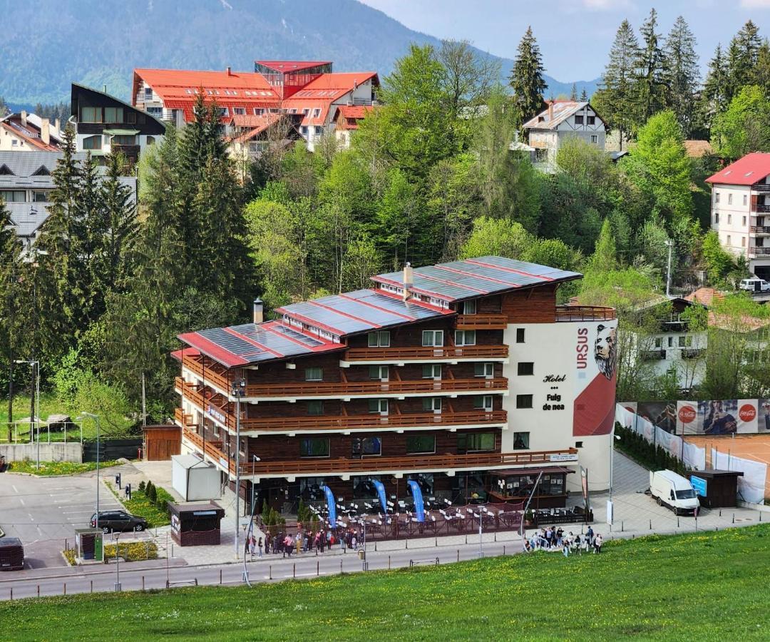Cabana Fulg De Nea Predeal Exterior foto